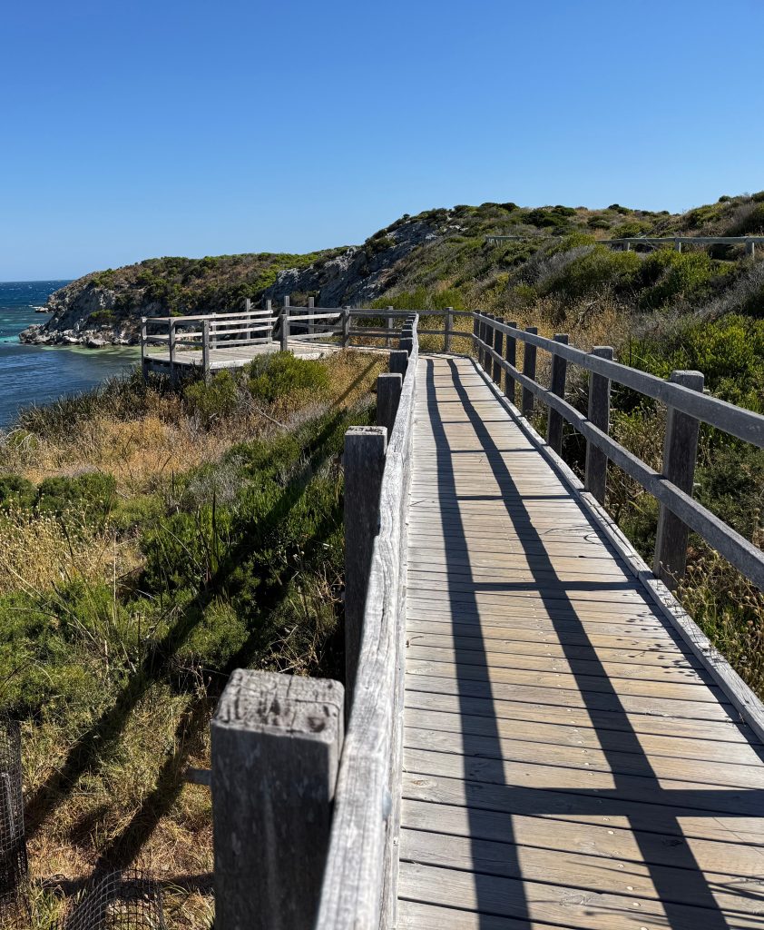 Wooden boardwalk next to the ocean over the rugged coastal bush facing the Indian Ocean in Western Australia. Long mid-morning shadows grace the boardwalk.